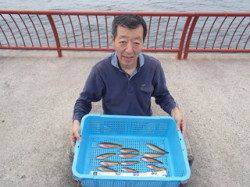 アオムシを餌に投げ釣り　ベラ12尾　in平磯海づり公園