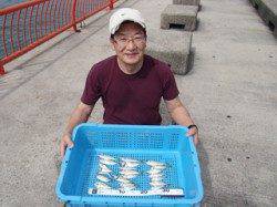 平磯海づり公園でサビキ　アジが釣れています