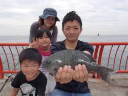 平磯海づり公園　記録賞のグレ33cm