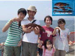 胴突仕掛でアコウ34cmとガシラ8尾　平磯海づり公園