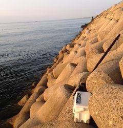 りんくうにてガシリング、アジングは豆アジの猛攻でした