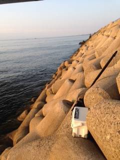 りんくうにてガシリング、アジングは豆アジの猛攻でした