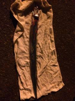 北公園～兵突にタチウオ偵察に行ってきました…