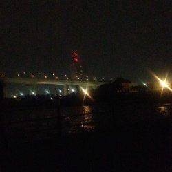 アジュール舞子　電気ウキ釣りでゴマサバの釣果