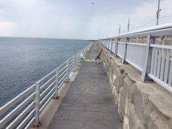 新浜漁港でガシラ・アイナメなど〜ブラクリや胴付き仕掛けで20匹以上