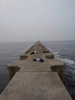 タコが渋くサビキをしました〜南蛮漬けにピッタリの豆アジ