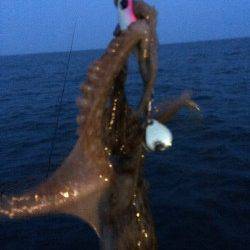 須磨海づり公園でライトジギング〜夕まづめにタチウオの時合で連続ヒット