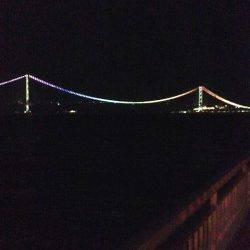 大蔵海岸アジング調査〜短時間で海岸内をランガンするもガシラのみ