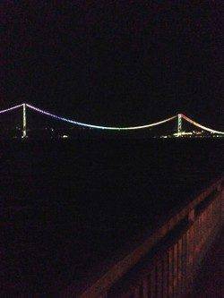 大蔵海岸アジング調査〜短時間で海岸内をランガンするもガシラのみ