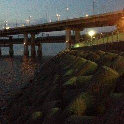 カンパリを見てりんくうにアジング行ってきました