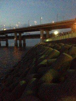 カンパリを見てりんくうにアジング行ってきました