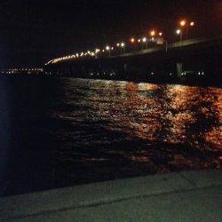 ウキ釣りでハネ・キビレ〜夏の夜釣りがオススメです♪