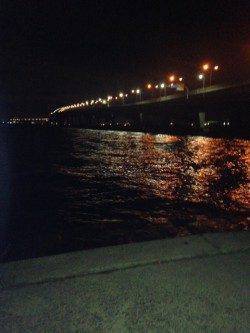 ウキ釣りでハネ・キビレ〜夏の夜釣りがオススメです♪