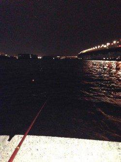 甲子園浜にて青虫流し〜ヘダイとハネがかかりました