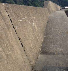 朝の時合いにキス7匹ゲット〜日置川で初の2連掛けも達成♪