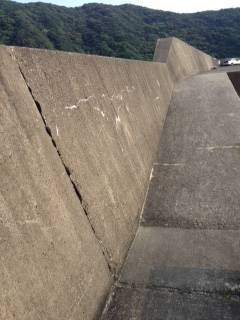 朝の時合いにキス7匹ゲット〜日置川で初の2連掛けも達成♪