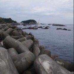 須原漁港内アジング、ボトムでGET！　磯場のガシリングでは数釣り♪