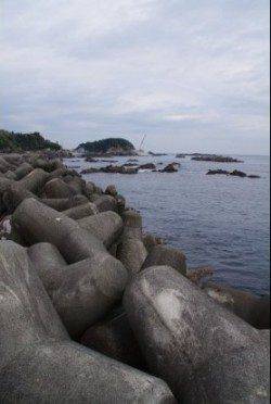 須原漁港内アジング、ボトムでGET！　磯場のガシリングでは数釣り♪