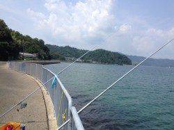 獅子で投げ釣り〜キス19匹の釣果