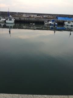 尾崎漁港にてサビキ釣り〜小アジ入れ食いでした