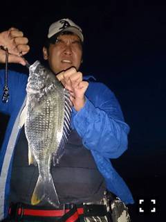 武庫川河口でチニング　バイブレーションにH…