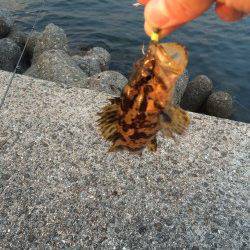 鳥取ノ荘でガシリング　ボトムでタケノコメバル　表層でキス