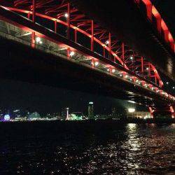 神戸港4,5,6,8防　アジング釣行で本命22cmの姿も