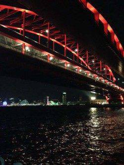 神戸港4,5,6,8防　アジング釣行で本命22cmの姿も