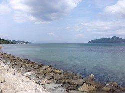 江尻でキス釣り！サイズは小さいですが遠投しなくても釣れました