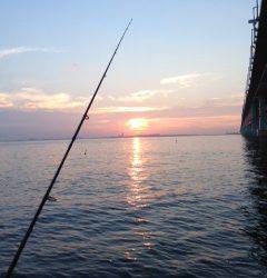 夕方からりんくうでガシリング　一投目でGET★