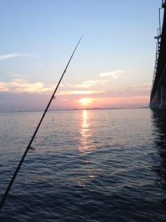 夕方からりんくうでガシリング　一投目でGET★