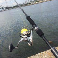 石津川にてシーバスのボイル〜72cm!!