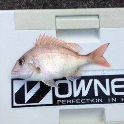 日置川河口　引き釣りのキスは100mラインでアタリ