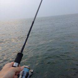 淡輪外向きテトラで小物釣り〜キス・ガッチョ