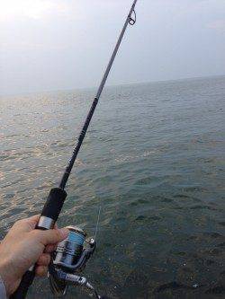 淡輪外向きテトラで小物釣り〜キス・ガッチョ