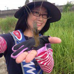 淀川河口　朝8時から昼までの釣行で、テナガエビ15匹☆サイトでも楽しめる