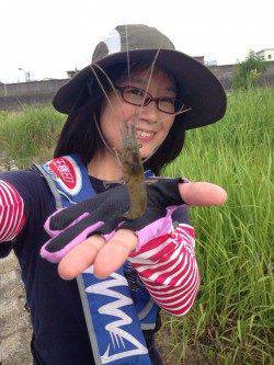 淀川河口　朝8時から昼までの釣行で、テナガエビ15匹☆サイトでも楽しめる