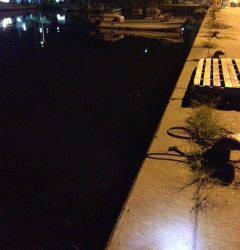 鳥取ノ荘ライトゲーム、メバルまだいました！　