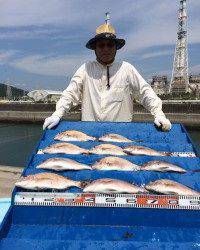 マリーナシティ海洋釣り堀でマダイ13尾♫