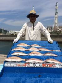 マリーナシティ海洋釣り堀でマダイ13尾♫