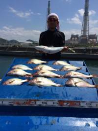 マリーナシティ海洋釣堀で念願の青物！