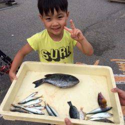マリーナシティ海釣り公園のファミリー釣果☆グレ30cmでピース