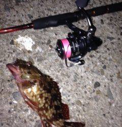 鳥取ノ荘にてガシラの穴釣り