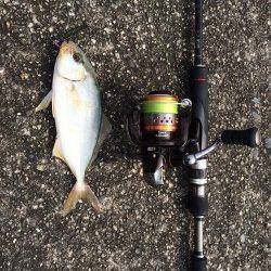 串本・有田漁港でジグをキャスト〜シオがヒットしました！