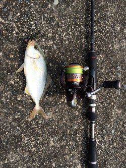 串本・有田漁港でジグをキャスト〜シオがヒットしました！