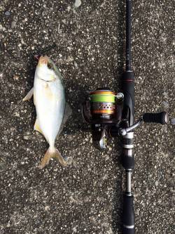 串本・有田漁港でジグをキャスト〜シオがヒッ…