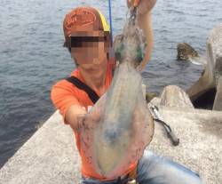 ③時間一本勝負でエギング釣行〜まだまだアオ…