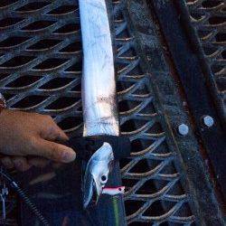 須磨海づり公園でライトジギング〜夕まづめにタチウオの時合で連続ヒット