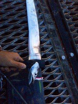 須磨海づり公園でライトジギング〜夕まづめにタチウオの時合で連続ヒット