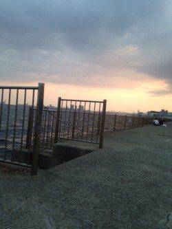 南芦屋浜でショアジギング　ロウニンアジが釣れました